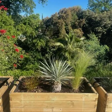 فيلة Le Val D'escure